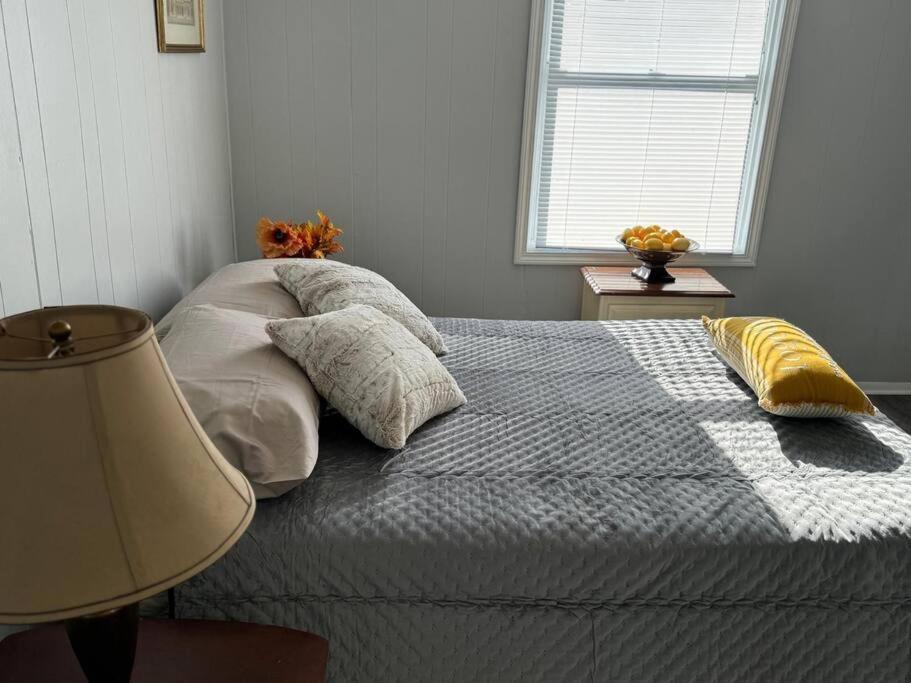 Apartment Zen/peaceful Retreat/pittsburgh/canton Avenue *